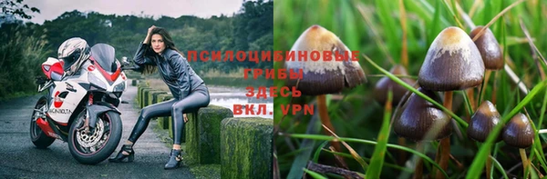 круглые Бородино