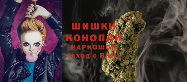 ECSTASY Богданович